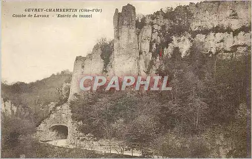 Ansichtskarte AK Gevrey Chambertin (Cote d'Or) Combe de Lavaux Entree du Tunnel