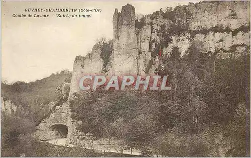 Cartes postales Gevrey Chambertin (Cote d'Or) Combe de Lavaux Entree du Tunnel
