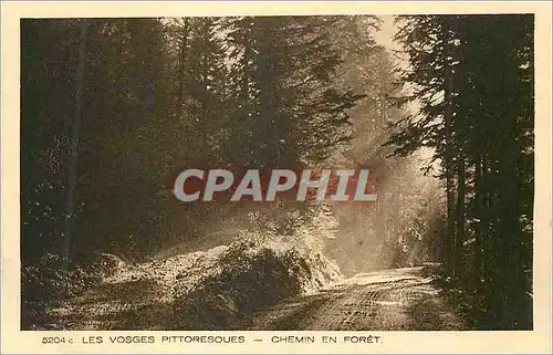 Cartes postales Les Vosges Pittoresques Chemin en Foret