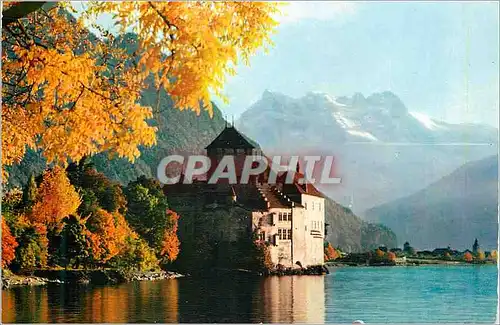 Cartes postales moderne Lac Leman Chateau de Chillon et la Dent du Midi