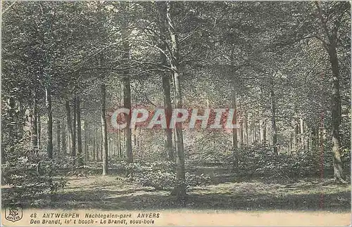 Cartes postales Anvers Antwerpen Nachtegalen park