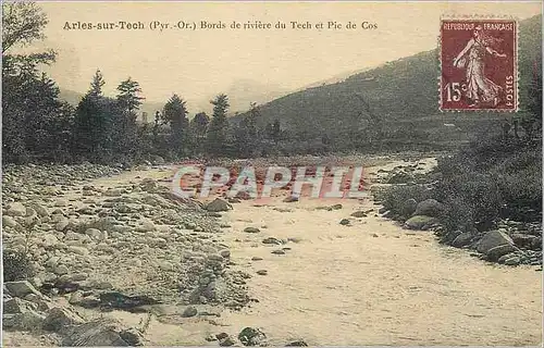 Cartes postales Arles sur Tech (Pyr Or) Bords de Riviere du Tech et Pic de Cos