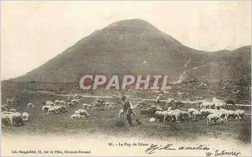 Ansichtskarte AK Le Puy de Dome Berger Moutons Elevage