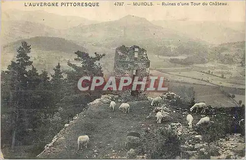 Ansichtskarte AK Murols L'Auvergne Pittoresque Ruines d'une Tour du Ch�teau Moutons