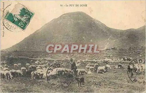 Ansichtskarte AK Le Puy de Dome Berger Moutons Elevage