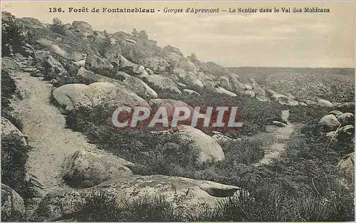 Cartes postales Foret de Fontainebleau Gorges d'Apremont Le Sentier dans le Val des Mohicans