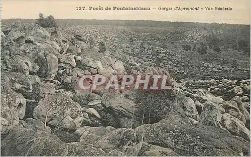 Ansichtskarte AK Foret de Fontainebleau Gorges d'Apremont Vue Generale