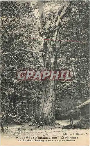 Cartes postales Foret de Fontainebleau Le Pharamont Le Plus vieux Chene de la Foret Age de 1400 ans