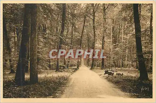 Ansichtskarte AK Fontainebleau (S et M) la Foret Route Ronde la Douce France