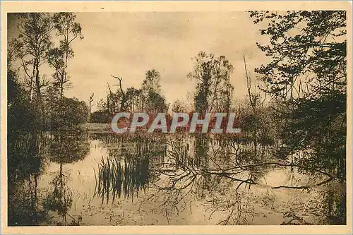 Cartes postales Fontainebleau (S et M) la Foret Mare aux Fees la Douce France