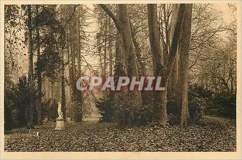 Ansichtskarte AK Fontainebleau (S et M) Jardins du Palais Allee des Platanes la Douce France