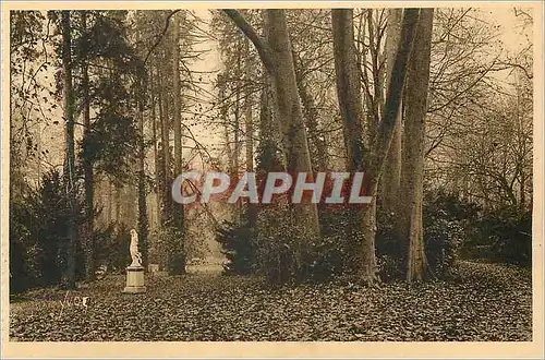Cartes postales Fontainebleau (S et M) Jardins du Palais Allee des Platanes la Douce France