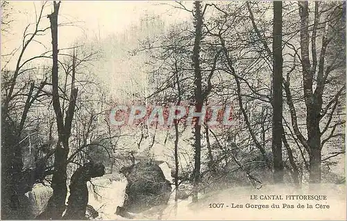 Cartes postales Le Cantal Pittoresque Les Gorges du Pas de la Cere
