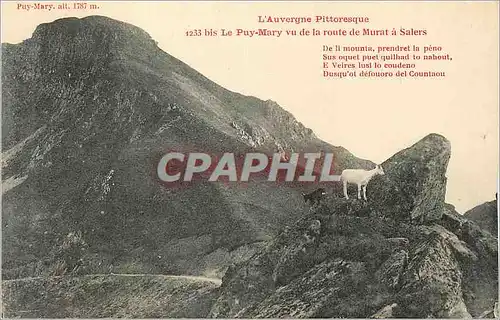 Cartes postales L'Auvergne Pittoresque Le Puy Mary vu de la Route de Murat a Salers Chevre