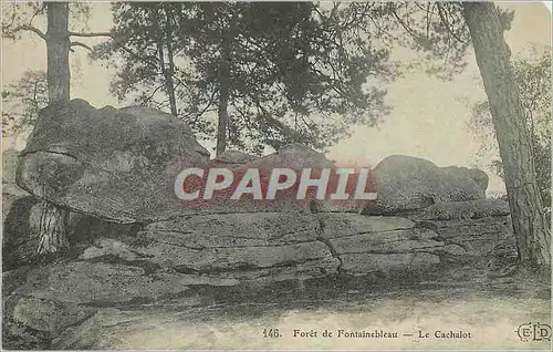 Ansichtskarte AK Foret de Fontainebleau Le Cachalot