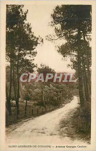 Cartes postales Saint Georges de Didonne Avenue Georges Coulon