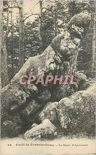 Ansichtskarte AK Foret de Fontainebleau La Dame d'Apremont