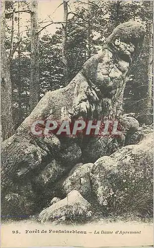 Cartes postales Foret de Fontainebleau La Dame d'Apremont