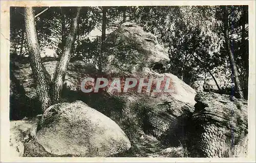 Moderne Karte Nemours Le Lion (Rocher Dumee)