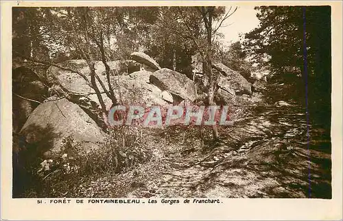 Ansichtskarte AK Foret de Fontainebleau Les Gorges de Franchart