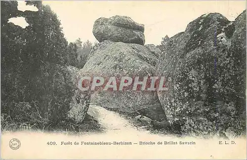 Ansichtskarte AK Foret de Fontainebleau Barbizon Brioche de Brillant Savarin