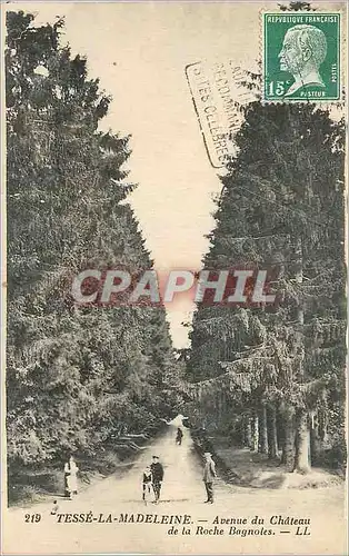 Cartes postales Tesse la Madeleine Avenue du Chateau de la Roche Bagnoles