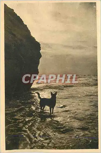 Ansichtskarte AK Sion sur l'Ocean (Vendee) Effet de Vagues avant l'Orage Chien