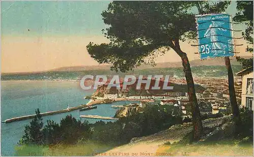 Cartes postales Nice Vue prise entre les Pins du Mont Boron