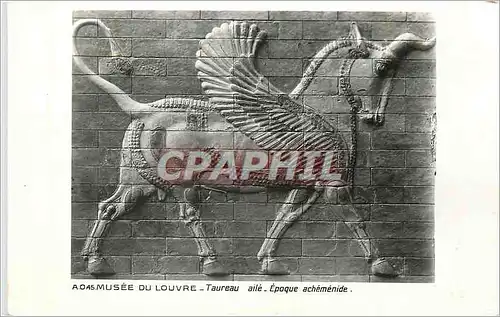 Cartes postales moderne Musee du Louvre Taureau Aile Epoque Achemenide