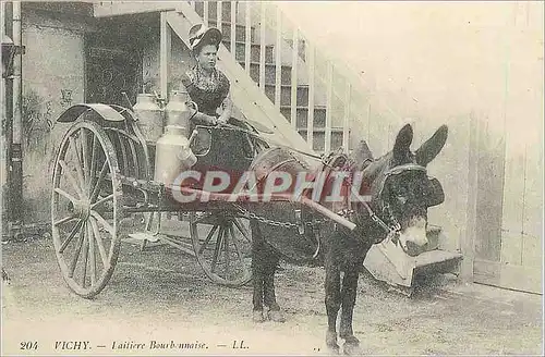 REPRO Vichy Laitiere Bourbonnaise Ane Donkey