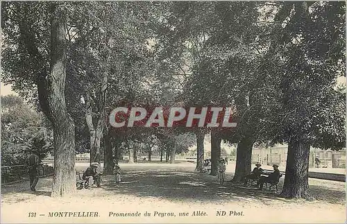 Cartes postales Montpellier Promenade du Peyrou une Allee