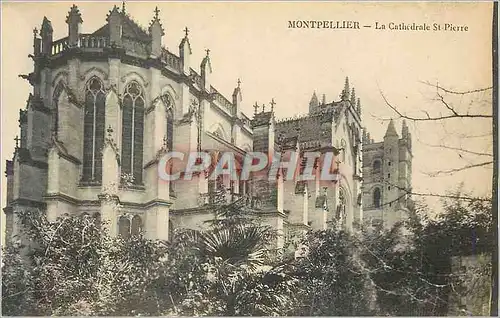 Ansichtskarte AK Montpellier la Cathedrale St Pierre