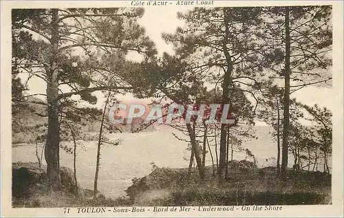 Ansichtskarte AK Toulon Sous Bois Bord de Mer Cote d'Azur