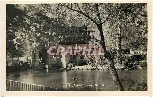 Cartes postales moderne Olivet les Bechets