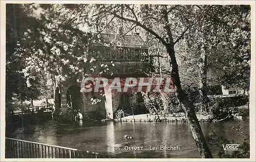 Cartes postales moderne Olivet les Bechets