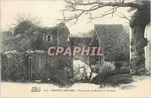 Cartes postales Chateau Renard une Partie des Ruines du Chateau