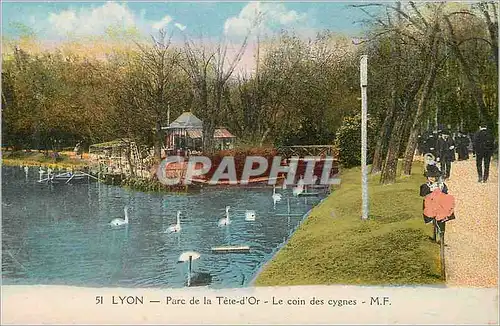 Cartes postales Lyon Parc de la Tete d'Or le Coin des Cygnes