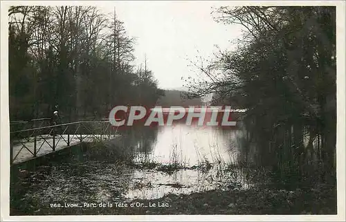 Cartes postales moderne Lyon Parc de la Tete d'Or le Lac