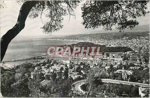 Cartes postales moderne Nice (A M) Vue Generale prise du Mt Boron