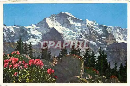 Cartes postales moderne Die Jungfrau