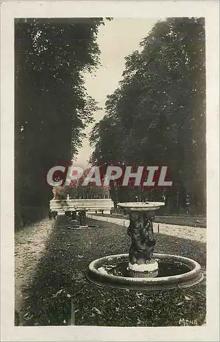Cartes postales moderne Les Petits Tableau de Versailles L'Allee d'Eau ou dos Marmousets