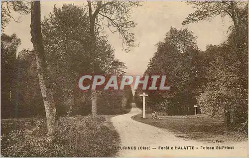 Cartes postales Fleurines (Oise) Fortet d'Halatte Poteau St Priest