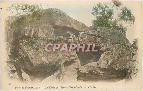 Cartes postales Foret de Fontainebleau La Roche qui Pleure (Franchard)