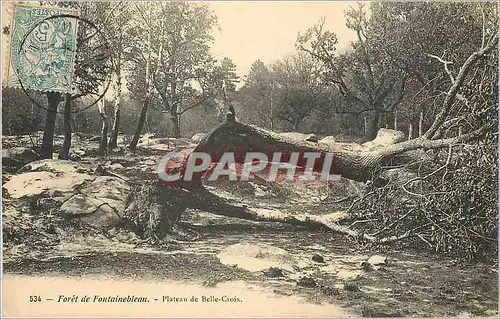 Ansichtskarte AK Foret de Fontainebleau Plateau de Belle Croix