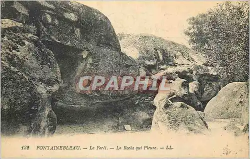 Cartes postales Fontainebleau La Roret La Roche qui Pleure