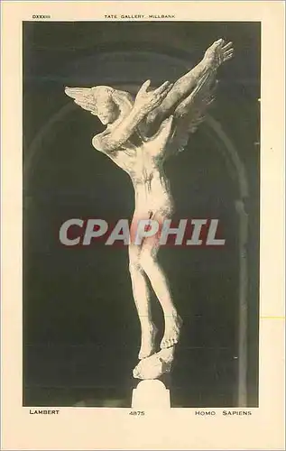 Cartes postales Tate Gallery Millbank Lambert Homo Sapiens