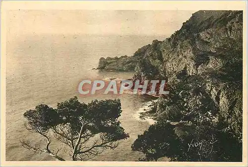 Ansichtskarte AK Les Iles d'Hyeres (Var) Cote d'Azur La Douce France Porquerolles La Grande Cale