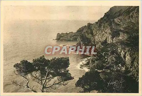 Cartes postales Les Iles d'Hyeres (Var) Cote d'Azur La Douce France Porquerolles La Grande Cale