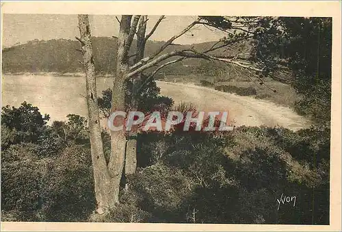 Cartes postales Les Iles d'Hyeres (Var) Cote d'Azur La Douce France Porquerolles La Grande Plage