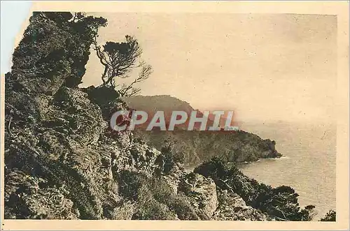 Cartes postales Les Iles d'Hyeres (Var) Cote d'Azur La Douce France Porquerolles Vue sur la Pointe de l'Oustaou